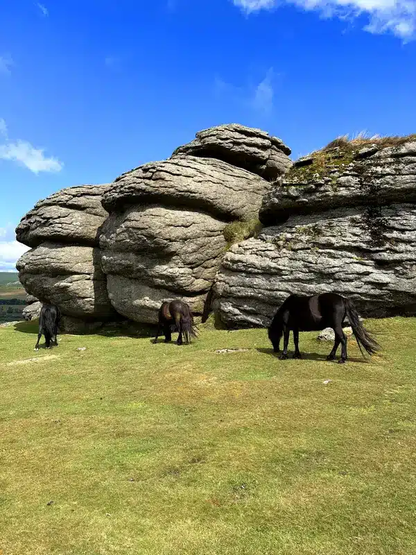 Le parc national du Dartmoor