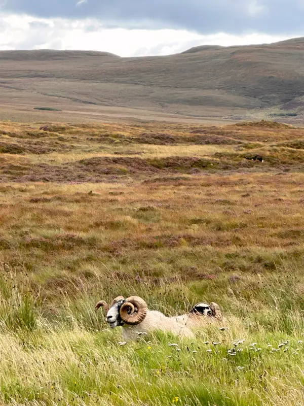 Paysage de l'île de Skye