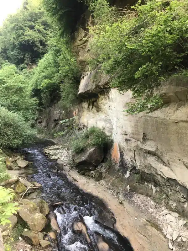 Sarine dans la vallée du Gottéron