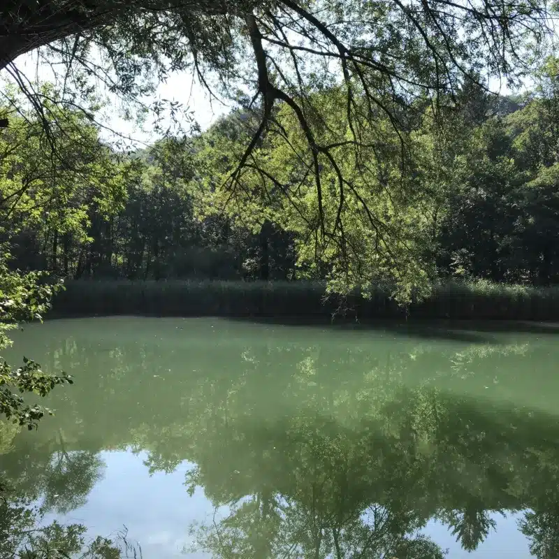 Lac Pérolles