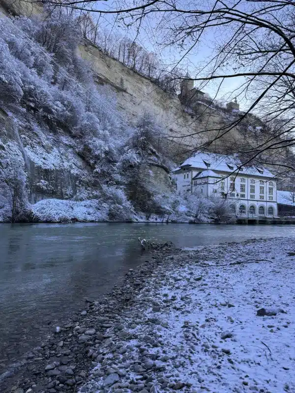 Sarine