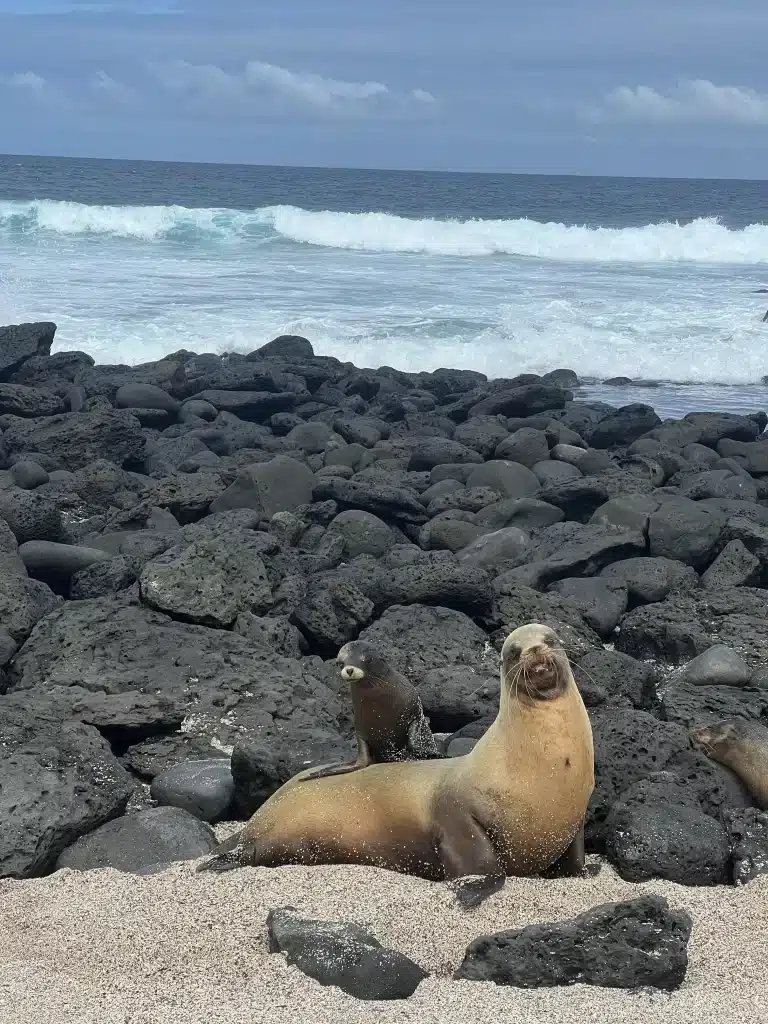 Le programme parfait Jour par Jour pour 10 à 12 jours au Galapagos 