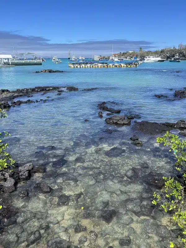 Découvrir Santa Cruz