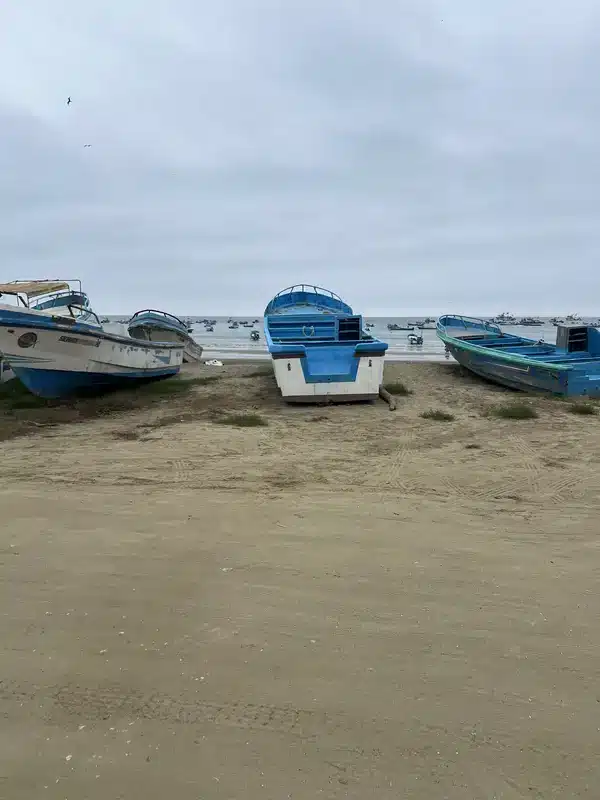 Nager avec les baleines