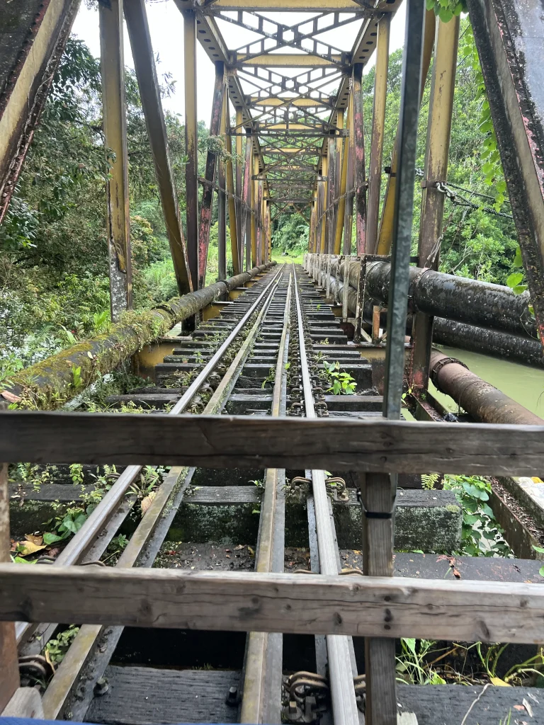 Visiter San Cipriano en Colombie : transport, activités et conseils pratiques
