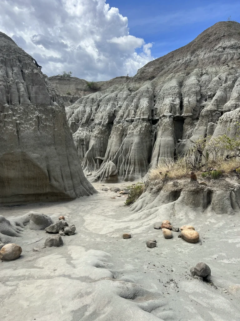 Désert gris Tatacoa