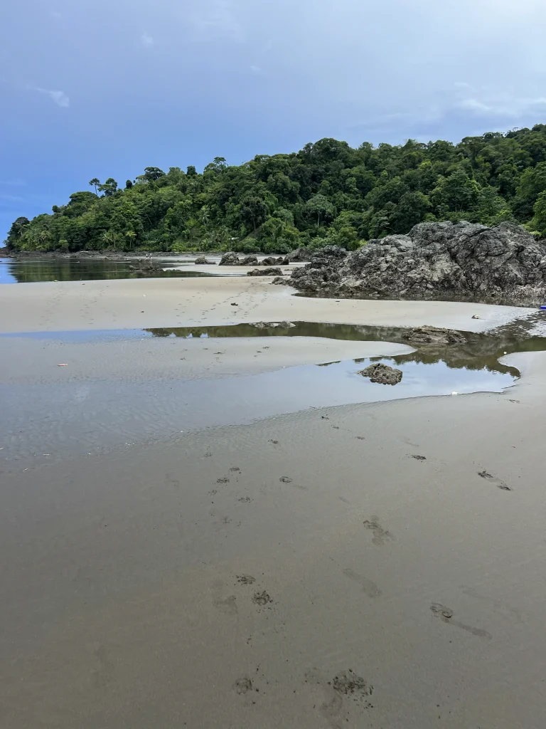 Ponte des tortues El Valle