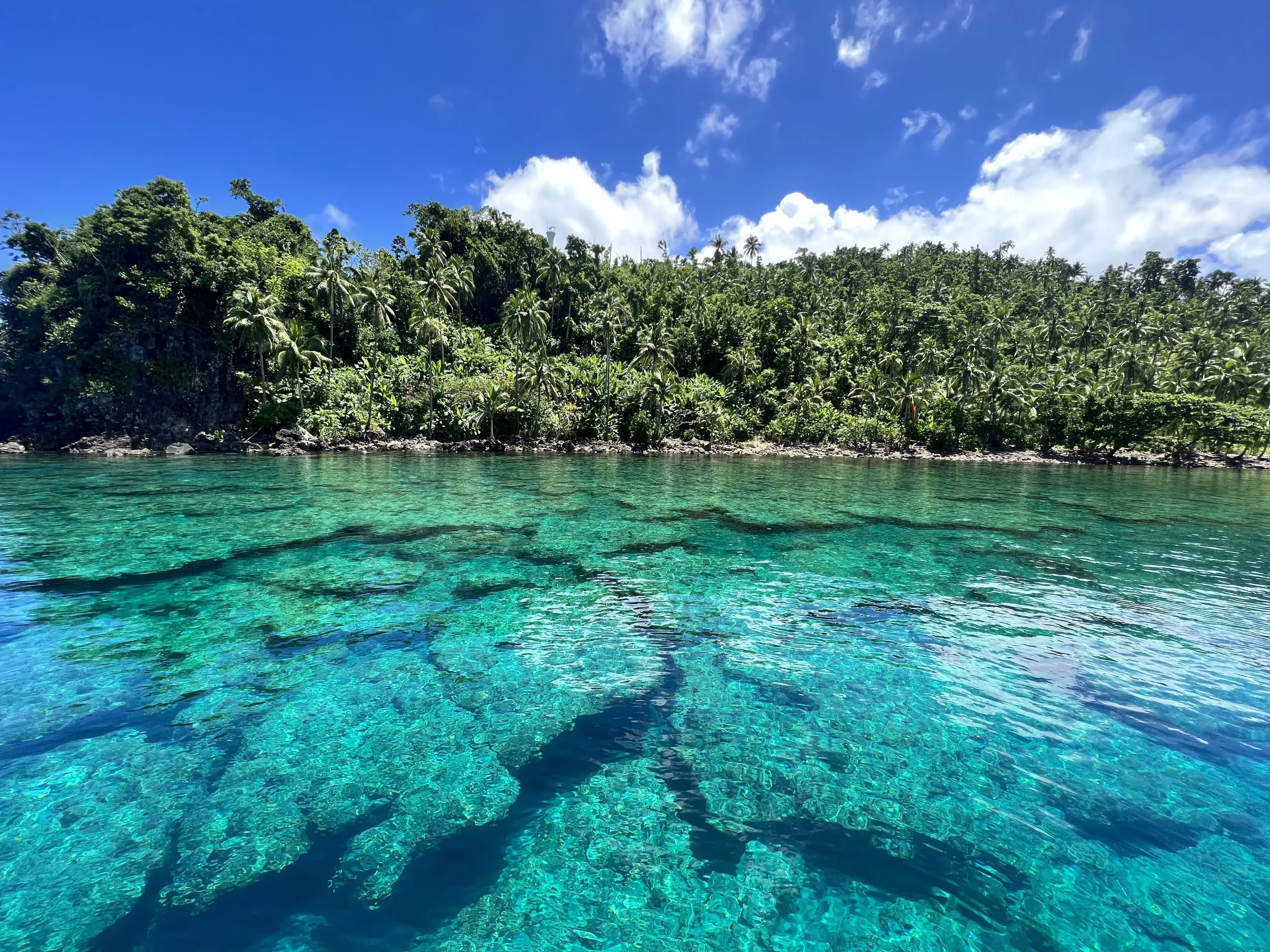 Les meilleurs sites de plongée des philippines