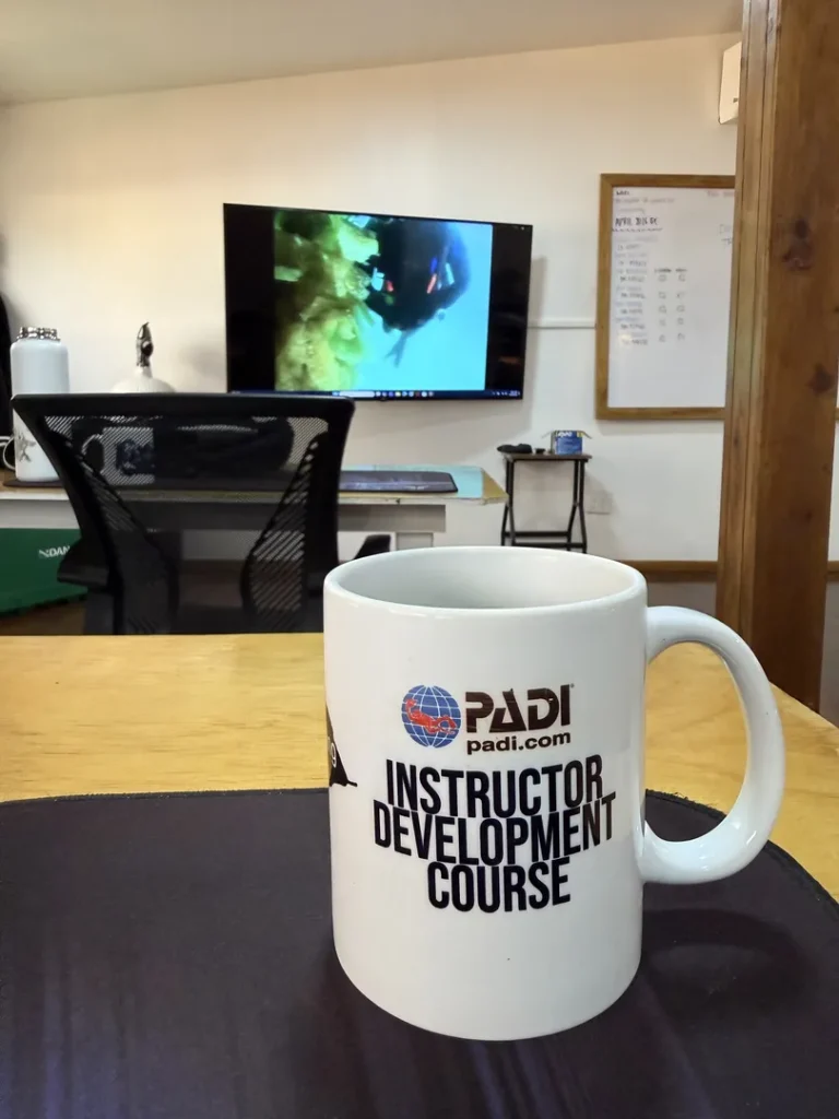Choisir entre PADI ou SSI ?